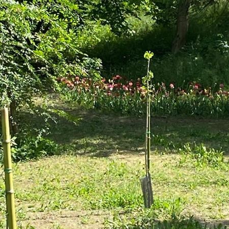 Eco House Roero Cottage Alba Kültér fotó