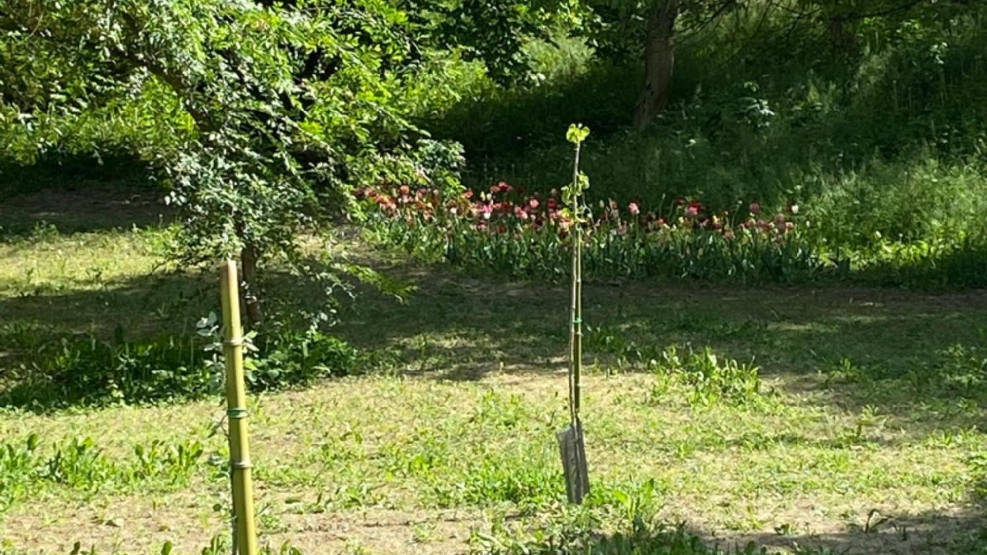 Eco House Roero Cottage Alba Kültér fotó